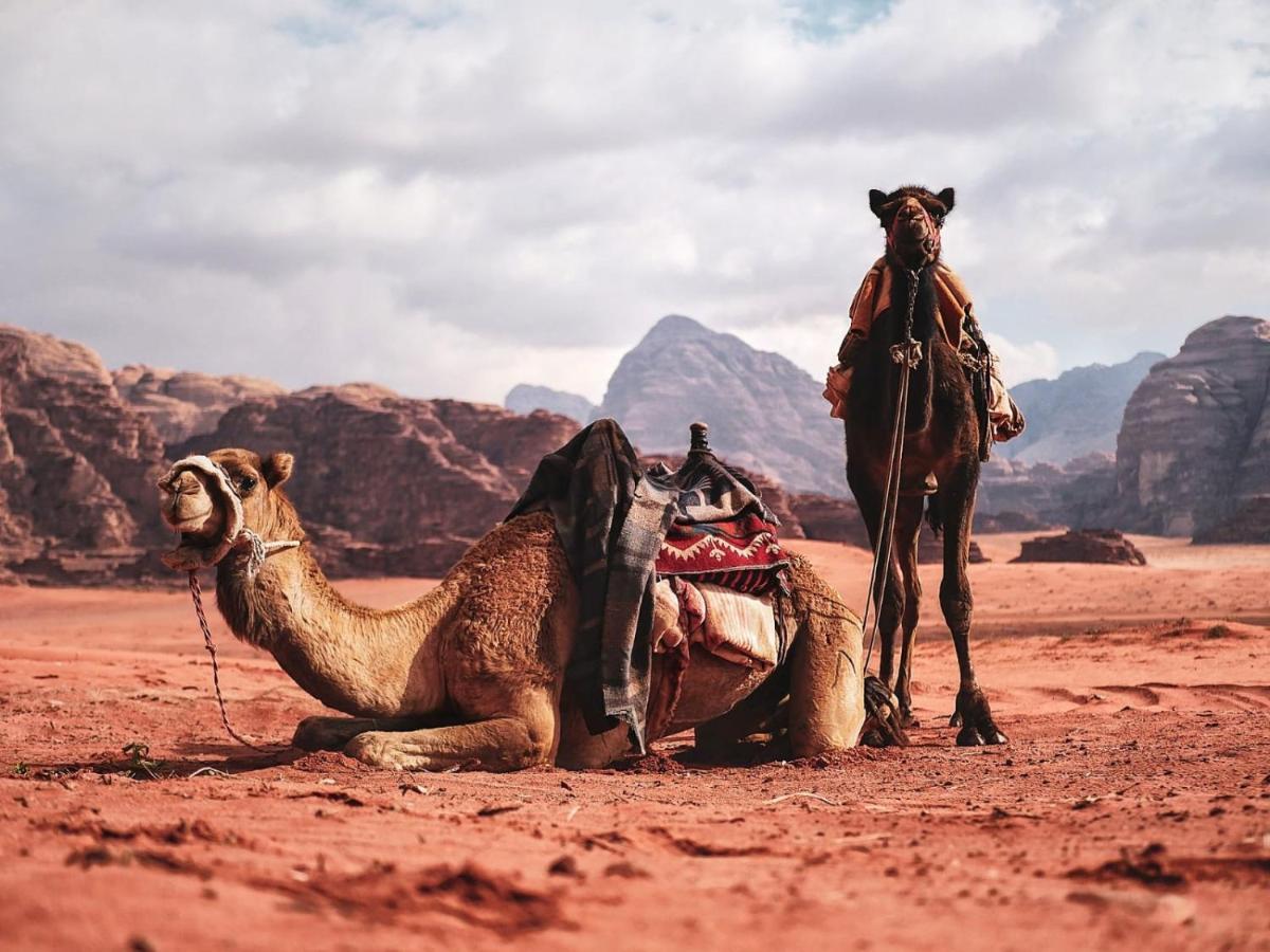 Wadi Rum Nights Ngoại thất bức ảnh