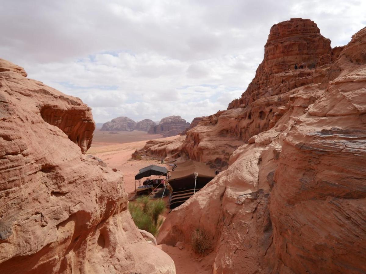 Wadi Rum Nights Ngoại thất bức ảnh