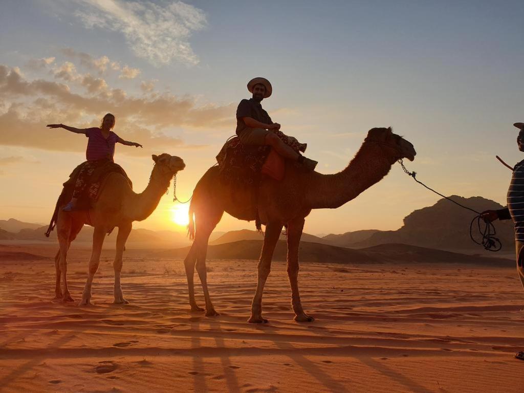 Wadi Rum Nights Ngoại thất bức ảnh