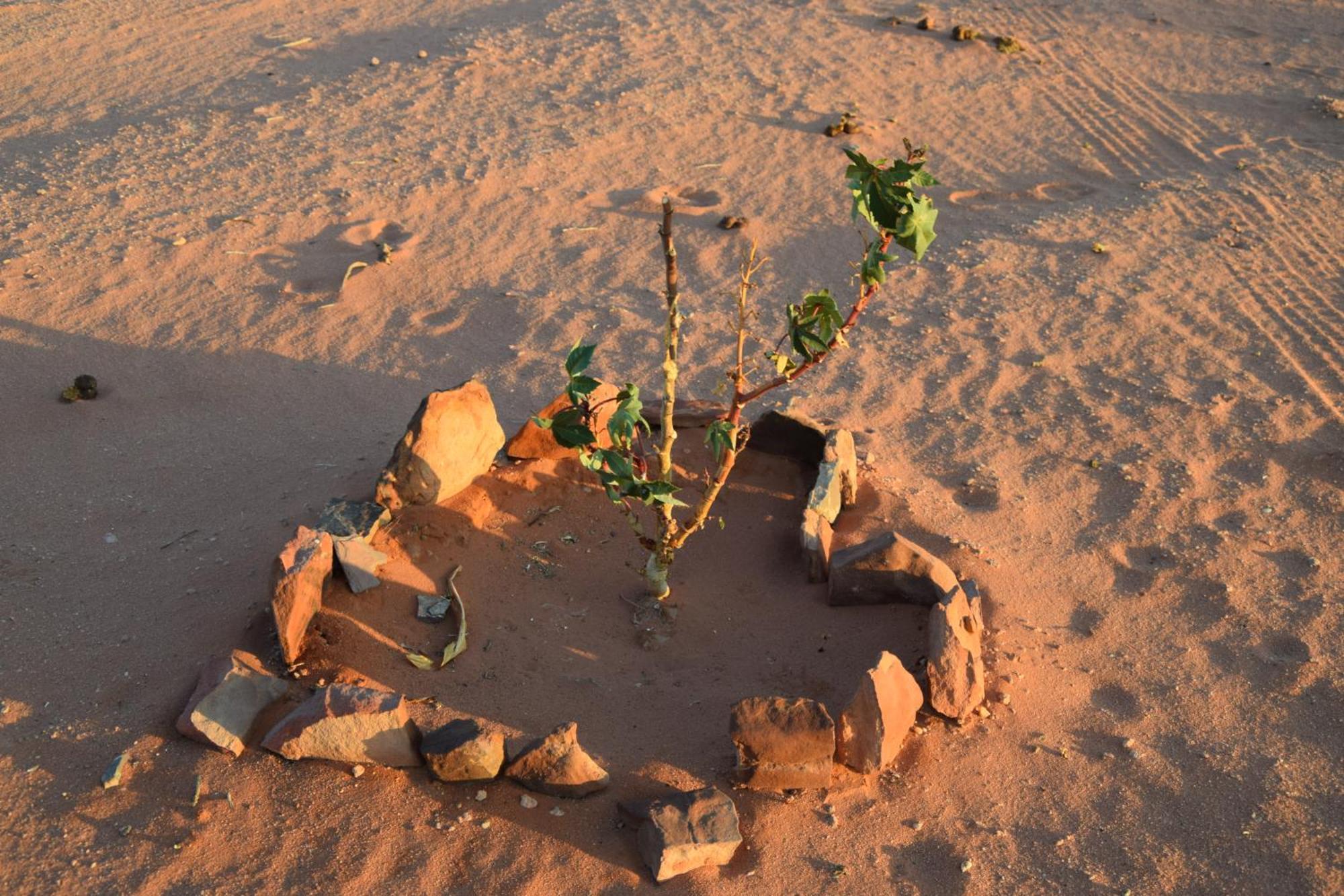 Wadi Rum Nights Ngoại thất bức ảnh