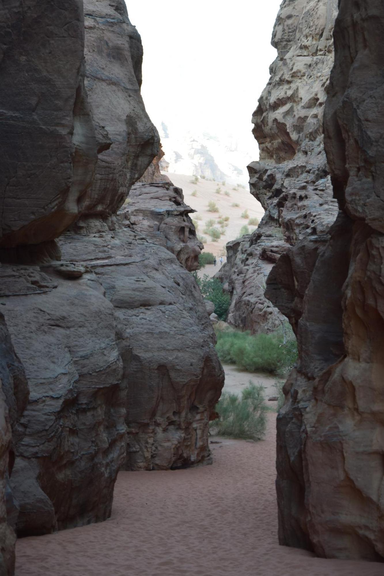 Wadi Rum Nights Ngoại thất bức ảnh